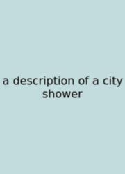 A Description Of A City Shower