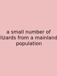 A Small Number Of Lizards From A Mainland Population