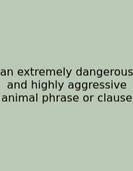 An Extremely Dangerous And Highly Aggressive Animal Phrase Or Clause