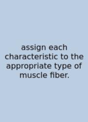 Assign Each Characteristic To The Appropriate Type Of Muscle Fiber.