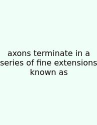 Axons Terminate In A Series Of Fine Extensions Known As