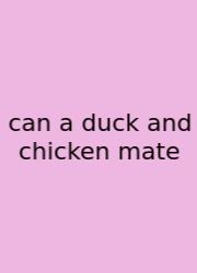 Can A Duck And Chicken Mate