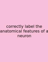 Correctly Label The Anatomical Features Of A Neuron