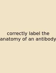 Correctly Label The Anatomy Of An Antibody