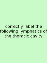 Correctly Label The Following Lymphatics Of The Thoracic Cavity