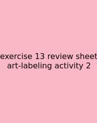 Exercise 13 Review Sheet Art-labeling Activity 2