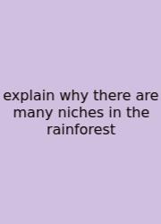 Explain Why There Are Many Niches In The Rainforest