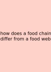 How Does A Food Chain Differ From A Food Web