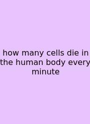 How Many Cells Die In The Human Body Every Minute