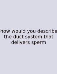How Would You Describe The Duct System That Delivers Sperm