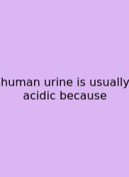 Human Urine Is Usually Acidic Because