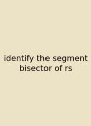Identify The Segment Bisector Of Rs