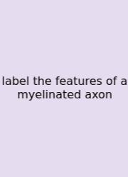 Label The Features Of A Myelinated Axon