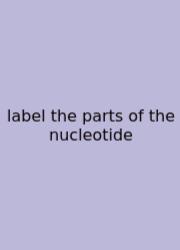Label The Parts Of The Nucleotide