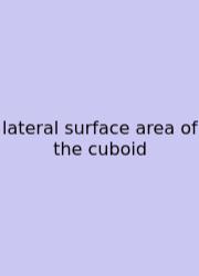 Lateral Surface Area Of The Cuboid
