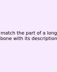 Match The Part Of A Long Bone With Its Description