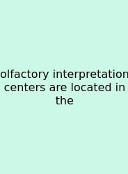 Olfactory Interpretation Centers Are Located In The