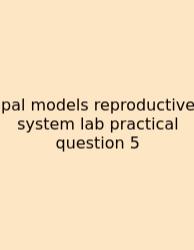 Pal Models Reproductive System Lab Practical Question 5