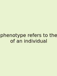 Phenotype Refers To The Of An Individual