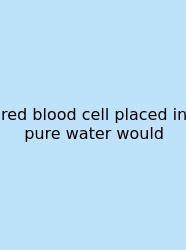 Red Blood Cell Placed In Pure Water Would