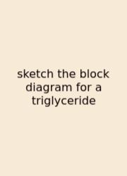 Sketch The Block Diagram For A Triglyceride
