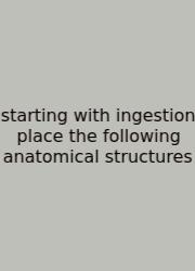 Starting With Ingestion Place The Following Anatomical Structures