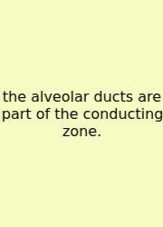 The Alveolar Ducts Are Part Of The Conducting Zone.