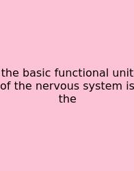 The Basic Functional Unit Of The Nervous System Is The
