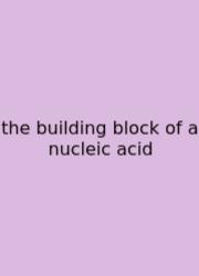 The Building Block Of A Nucleic Acid