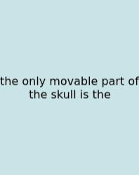 The Only Movable Part Of The Skull Is The