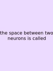The Space Between Two Neurons Is Called