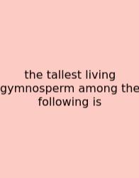 The Tallest Living Gymnosperm Among The Following Is