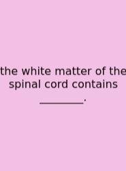 The White Matter Of The Spinal Cord Contains ________.