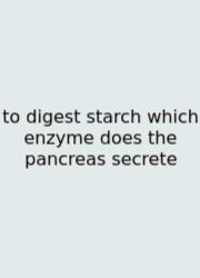 To Digest Starch Which Enzyme Does The Pancreas Secrete