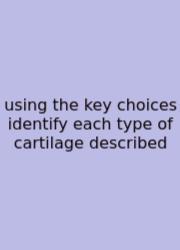 Using The Key Choices Identify Each Type Of Cartilage Described