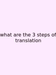 What Are The 3 Steps Of Translation