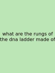 What Are The Rungs Of The Dna Ladder Made Of