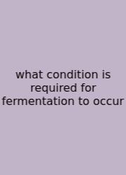 What Condition Is Required For Fermentation To Occur