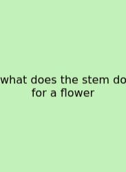 What Does The Stem Do For A Flower