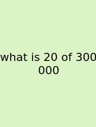 What Is 20 Of 300 000