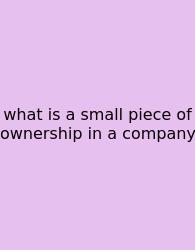 What Is A Small Piece Of Ownership In A Company