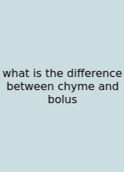 What Is The Difference Between Chyme And Bolus