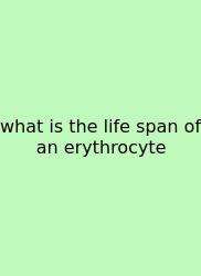 What Is The Life Span Of An Erythrocyte