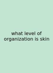 What Level Of Organization Is Skin