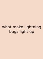 What Make Lightning Bugs Light Up