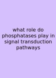 What Role Do Phosphatases Play In Signal Transduction Pathways