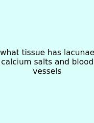 What Tissue Has Lacunae Calcium Salts And Blood Vessels