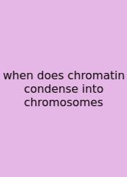 When Does Chromatin Condense Into Chromosomes