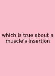 Which Is True About A Muscle's Insertion