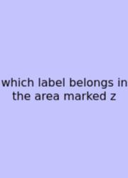 Which Label Belongs In The Area Marked Z